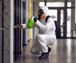 Best Asbestos and Lead Testing During Mold Inspection  in Albany, MO